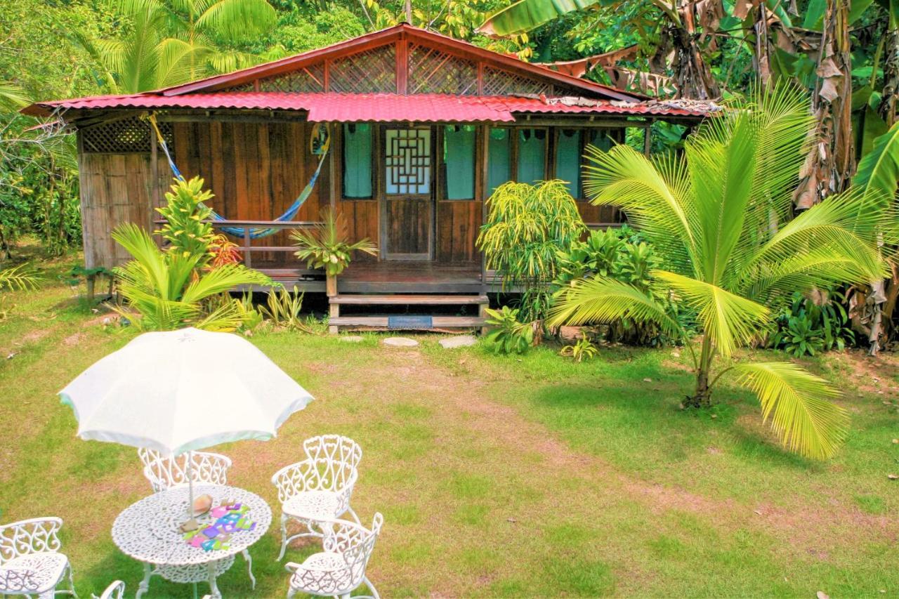 Ocean Forest Ecolodge San Pedrillo Εξωτερικό φωτογραφία