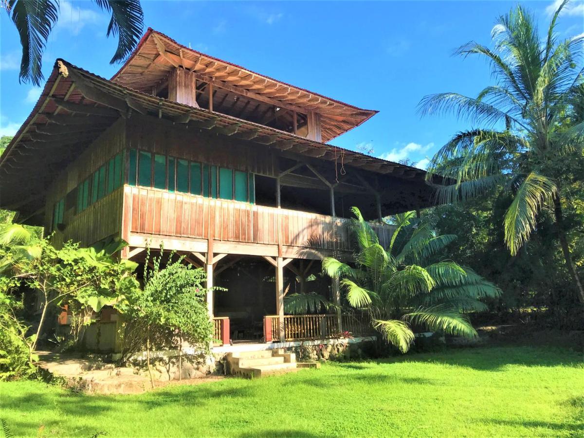 Ocean Forest Ecolodge San Pedrillo Εξωτερικό φωτογραφία