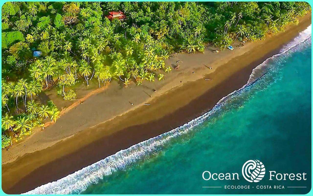 Ocean Forest Ecolodge San Pedrillo Εξωτερικό φωτογραφία