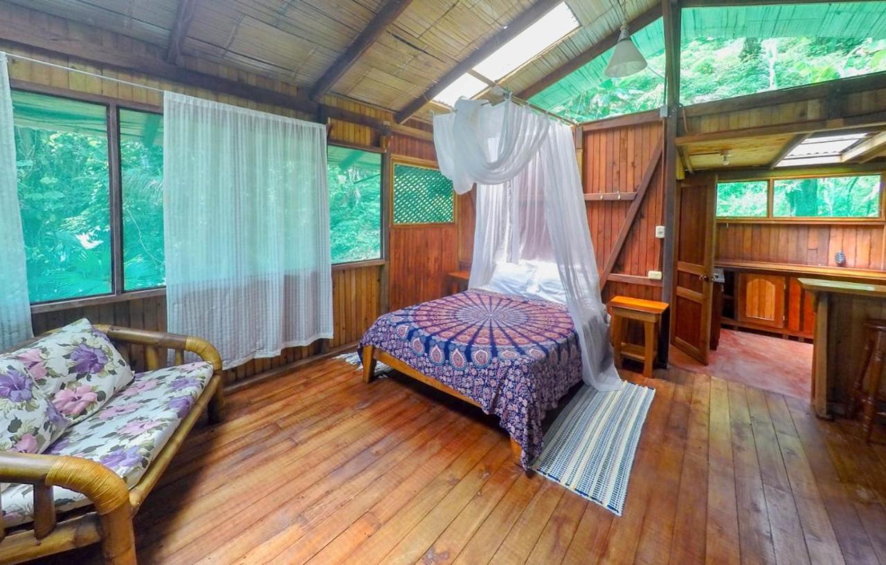 Ocean Forest Ecolodge San Pedrillo Εξωτερικό φωτογραφία