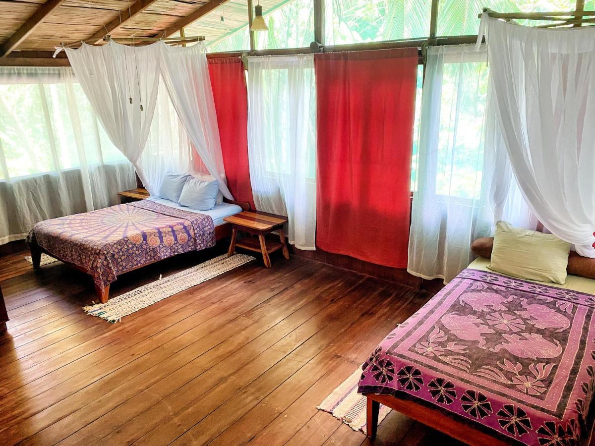 Ocean Forest Ecolodge San Pedrillo Εξωτερικό φωτογραφία