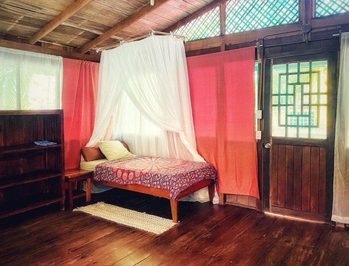 Ocean Forest Ecolodge San Pedrillo Εξωτερικό φωτογραφία