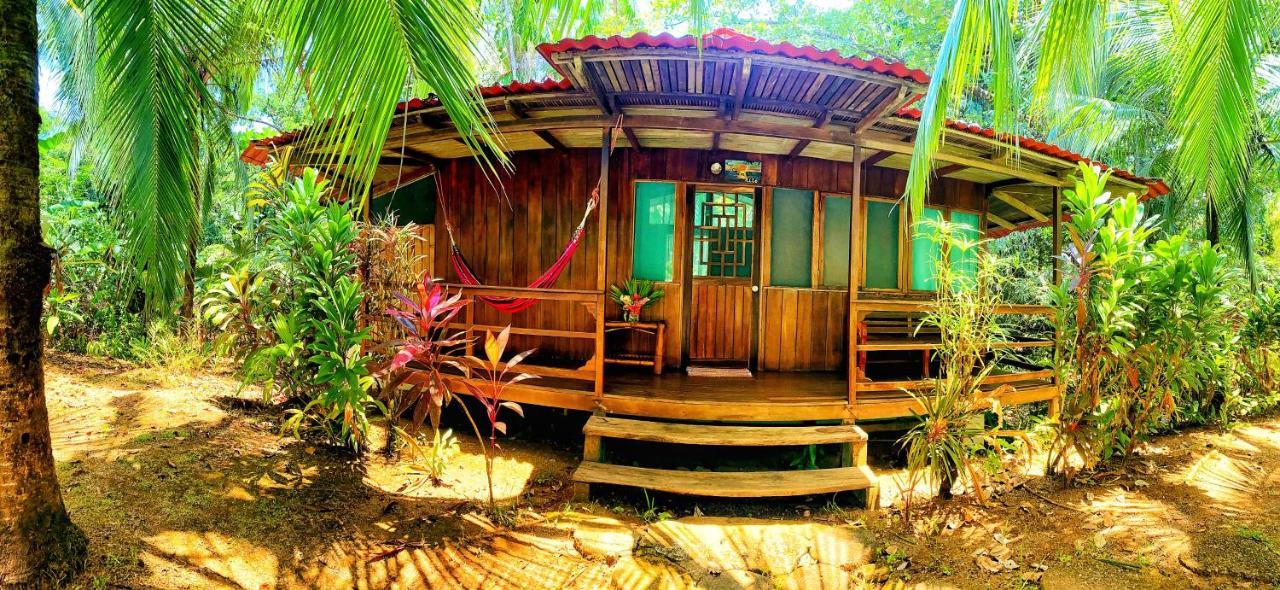 Ocean Forest Ecolodge San Pedrillo Εξωτερικό φωτογραφία