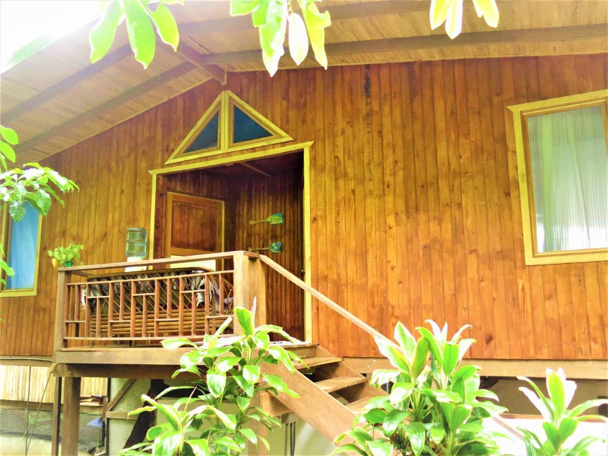 Ocean Forest Ecolodge San Pedrillo Εξωτερικό φωτογραφία