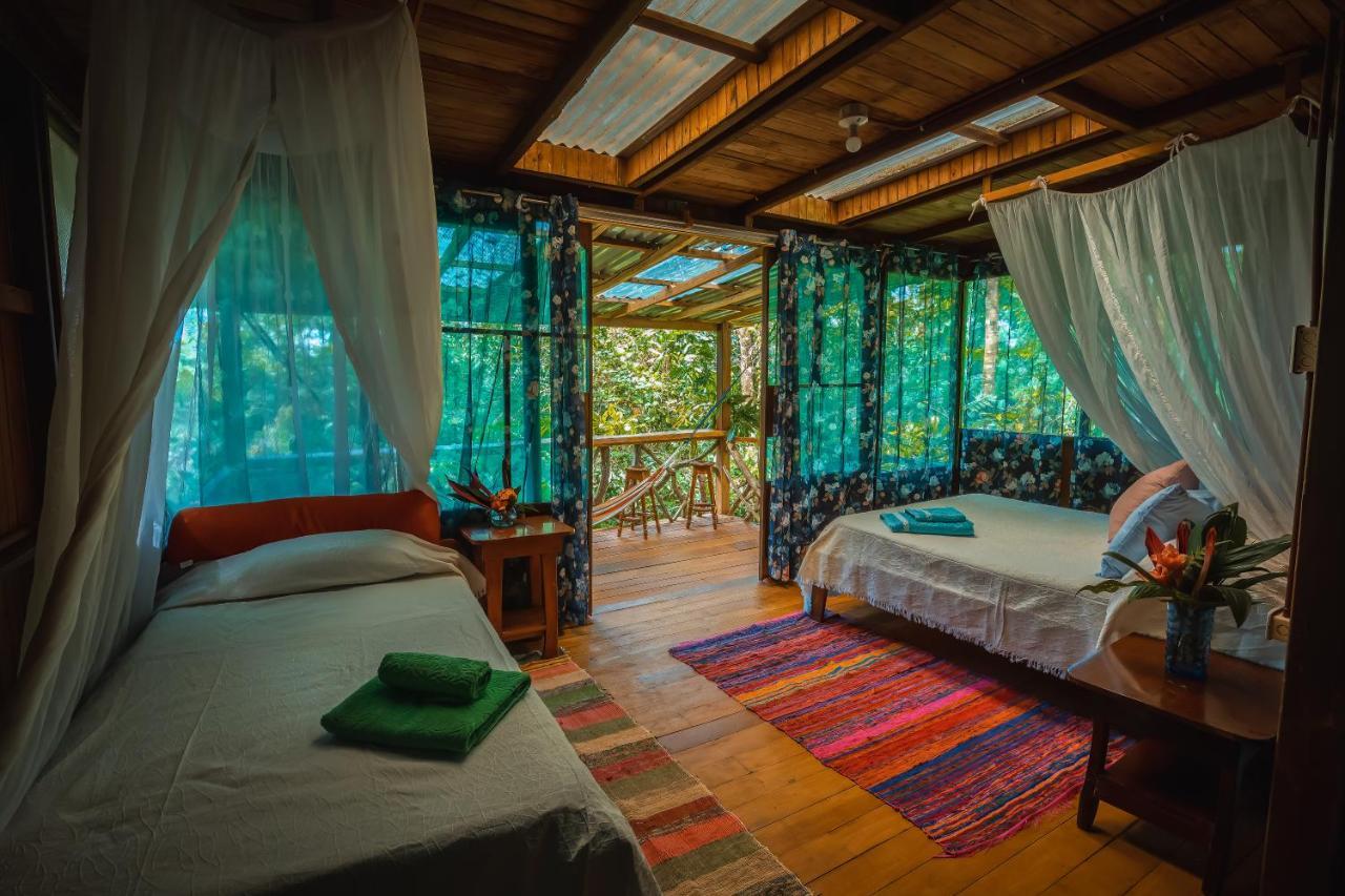 Ocean Forest Ecolodge San Pedrillo Εξωτερικό φωτογραφία