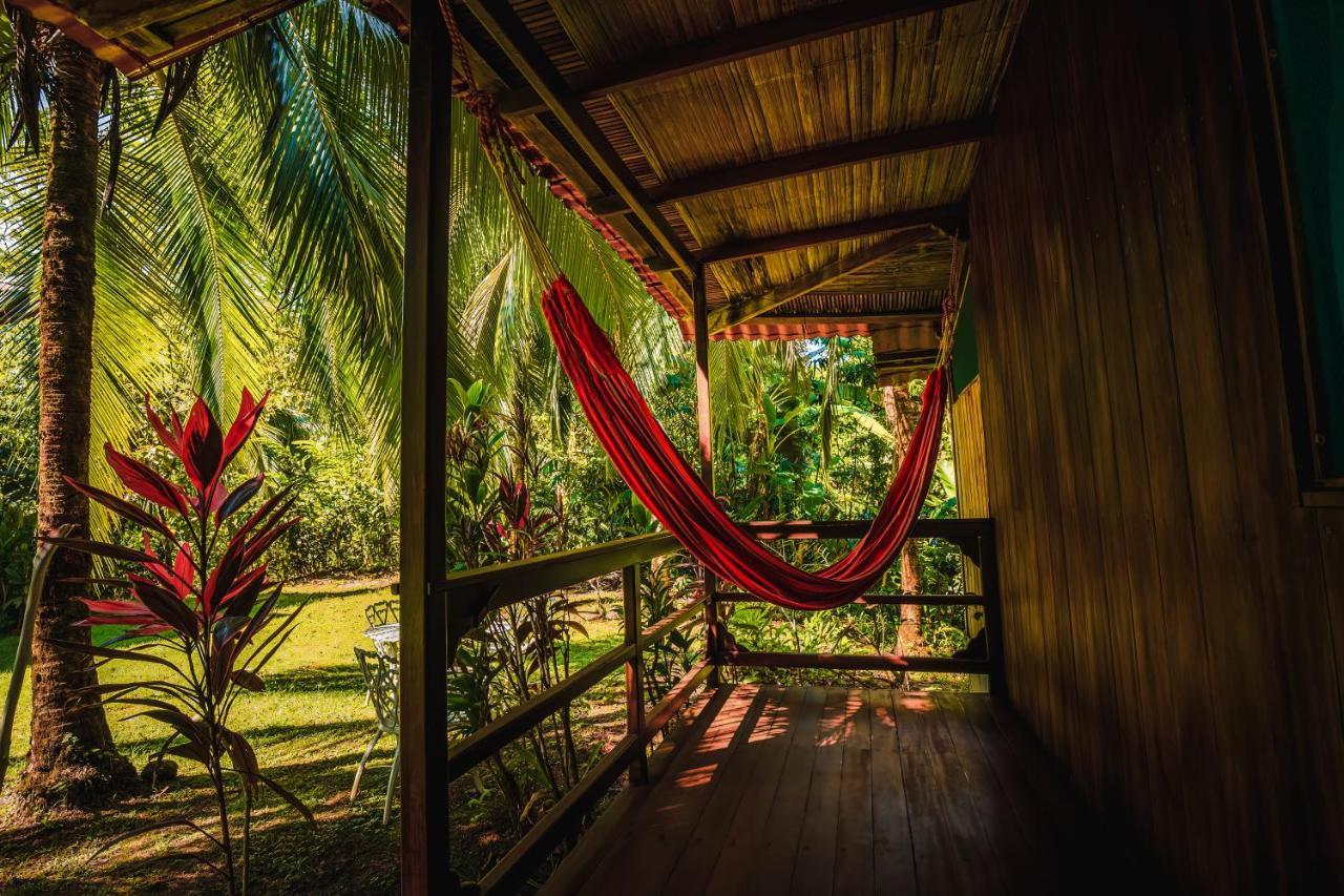 Ocean Forest Ecolodge San Pedrillo Εξωτερικό φωτογραφία