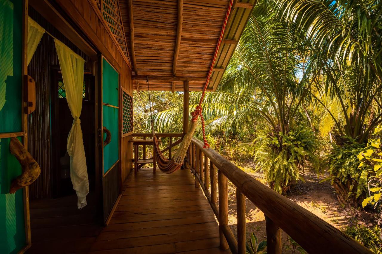 Ocean Forest Ecolodge San Pedrillo Εξωτερικό φωτογραφία