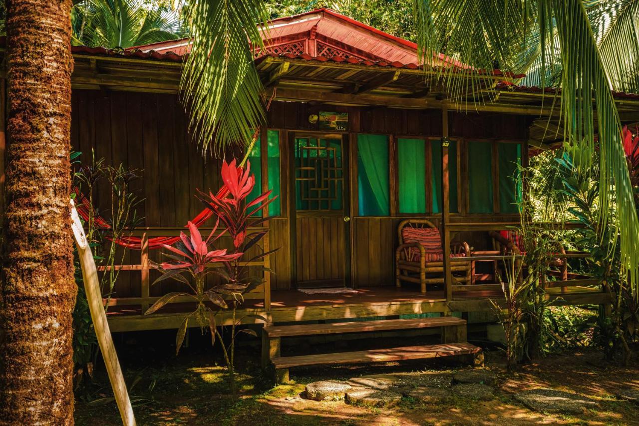 Ocean Forest Ecolodge San Pedrillo Εξωτερικό φωτογραφία