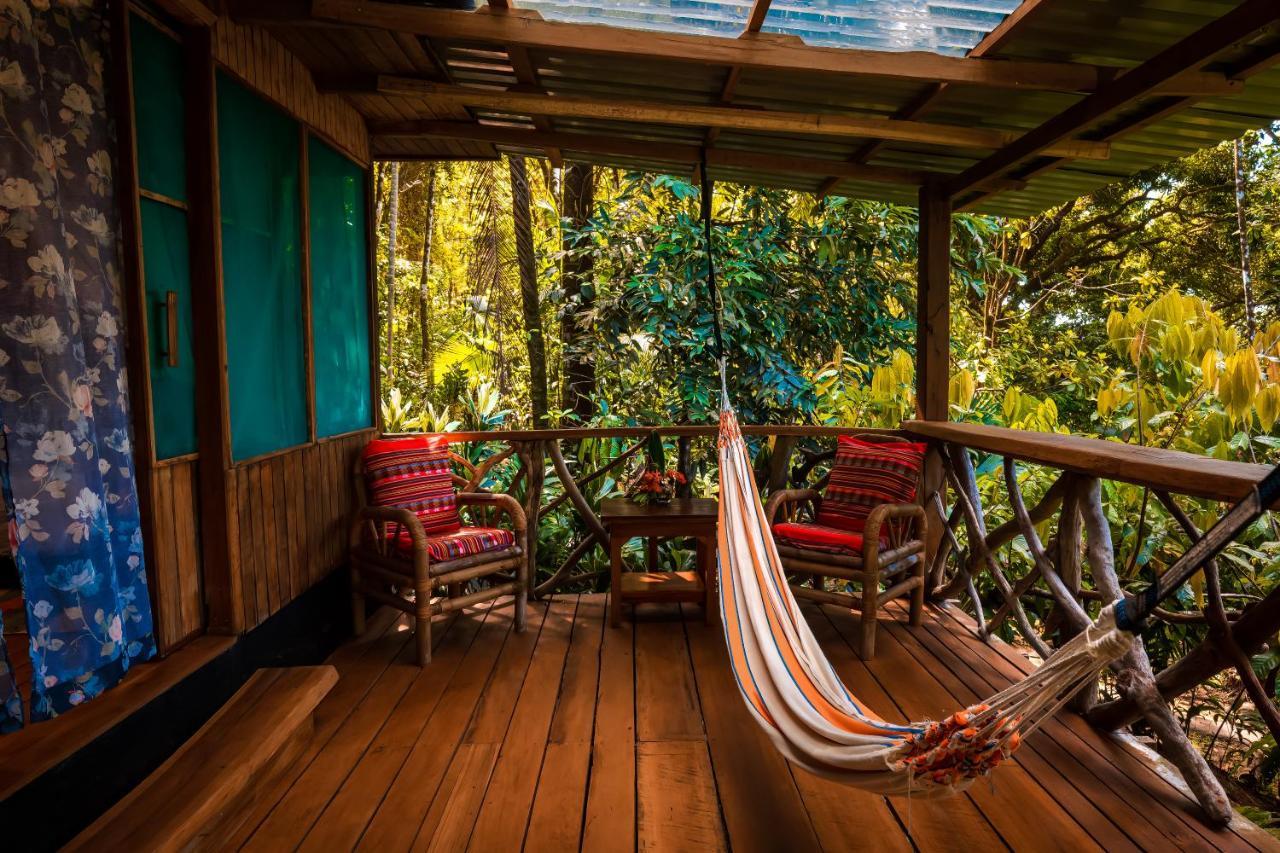 Ocean Forest Ecolodge San Pedrillo Εξωτερικό φωτογραφία