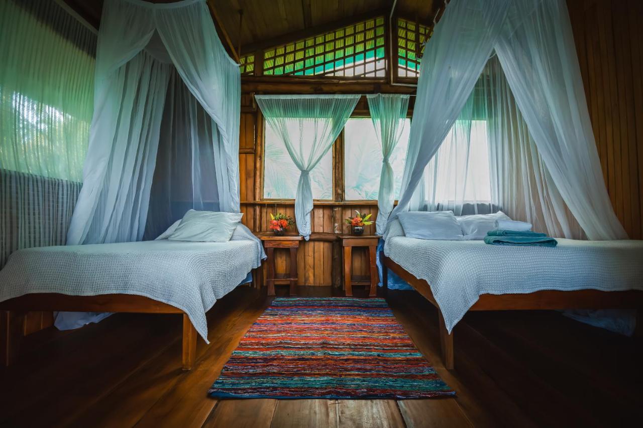 Ocean Forest Ecolodge San Pedrillo Εξωτερικό φωτογραφία