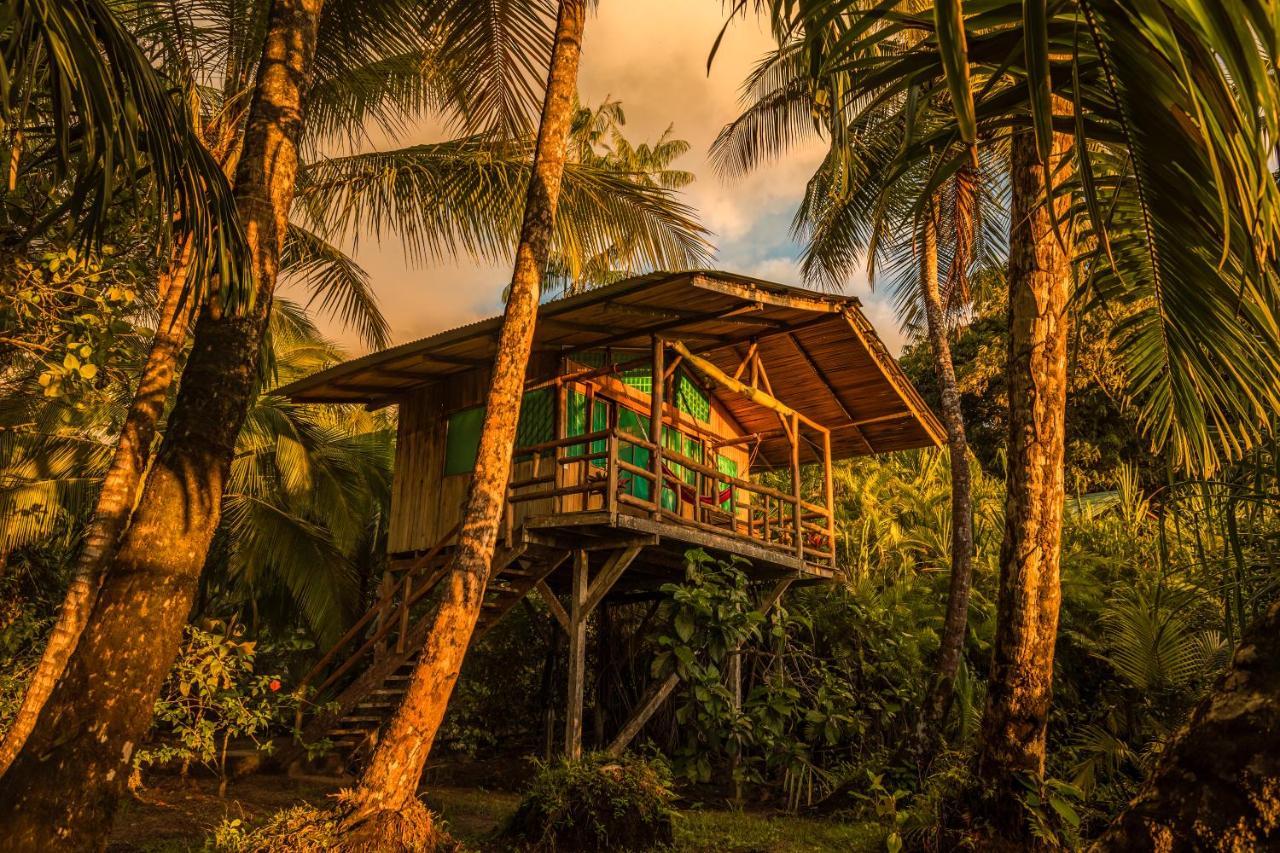 Ocean Forest Ecolodge San Pedrillo Εξωτερικό φωτογραφία