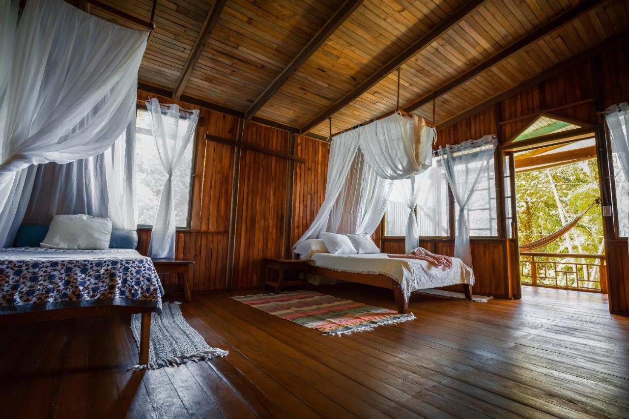 Ocean Forest Ecolodge San Pedrillo Εξωτερικό φωτογραφία