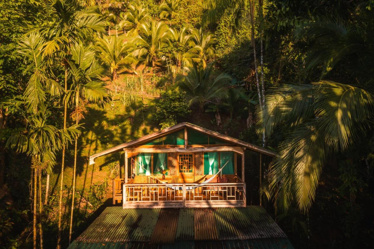 Ocean Forest Ecolodge San Pedrillo Εξωτερικό φωτογραφία