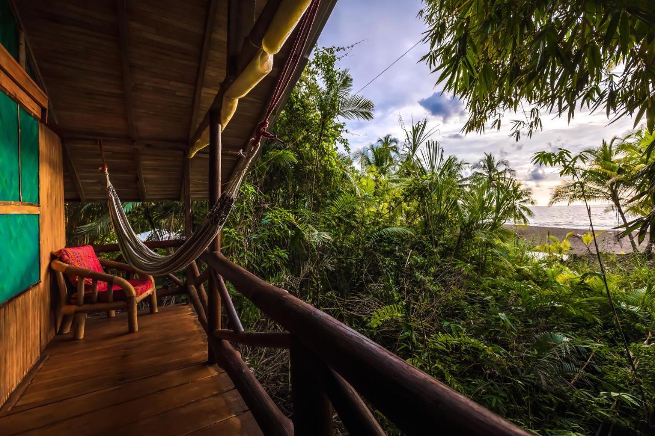 Ocean Forest Ecolodge San Pedrillo Εξωτερικό φωτογραφία