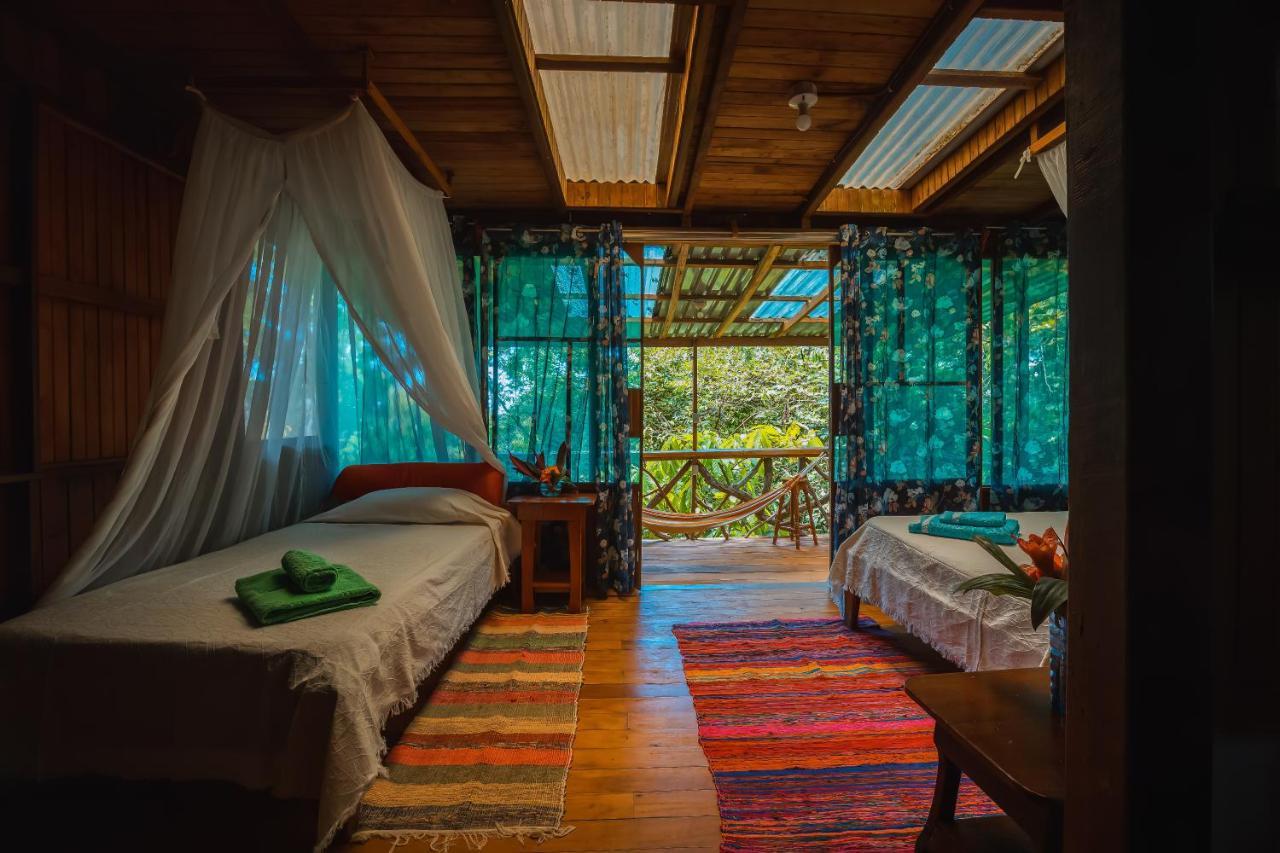 Ocean Forest Ecolodge San Pedrillo Εξωτερικό φωτογραφία