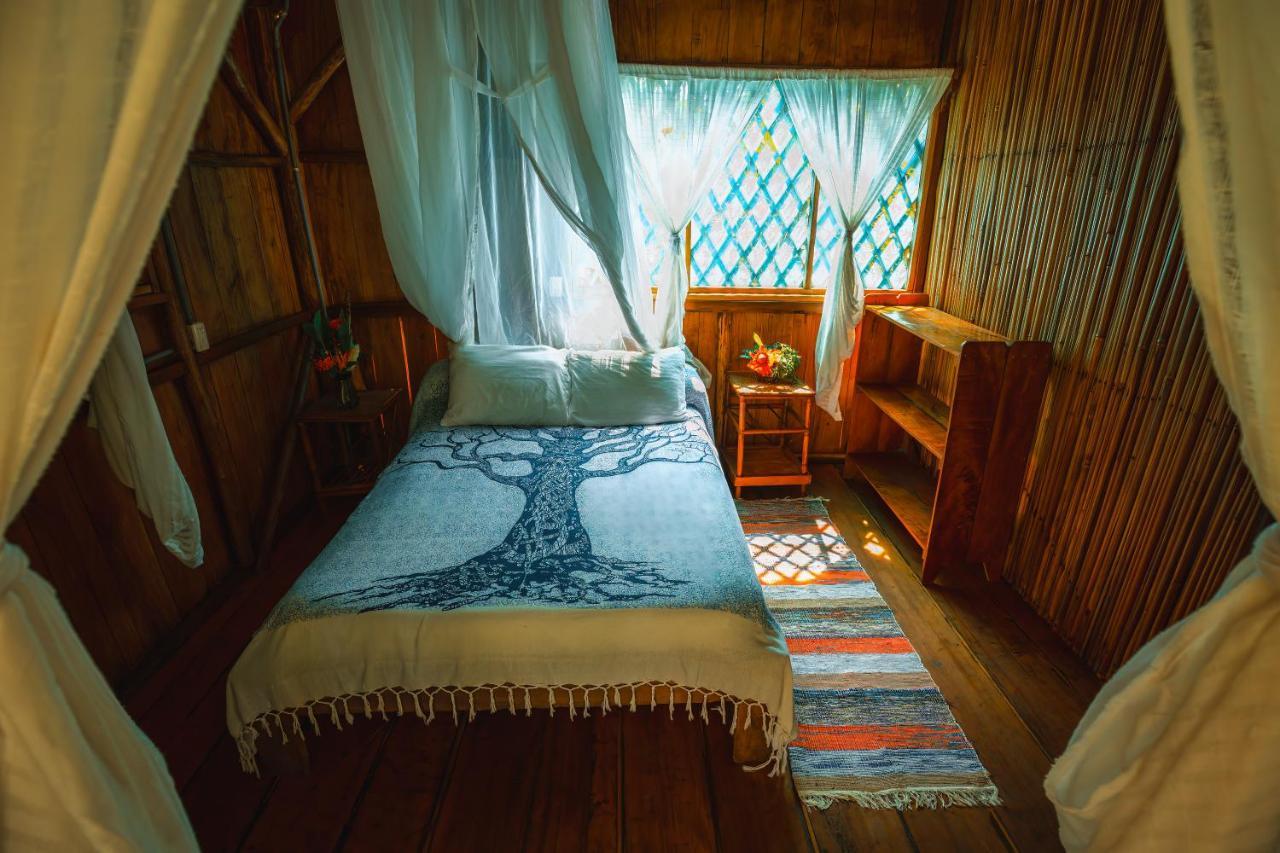 Ocean Forest Ecolodge San Pedrillo Εξωτερικό φωτογραφία