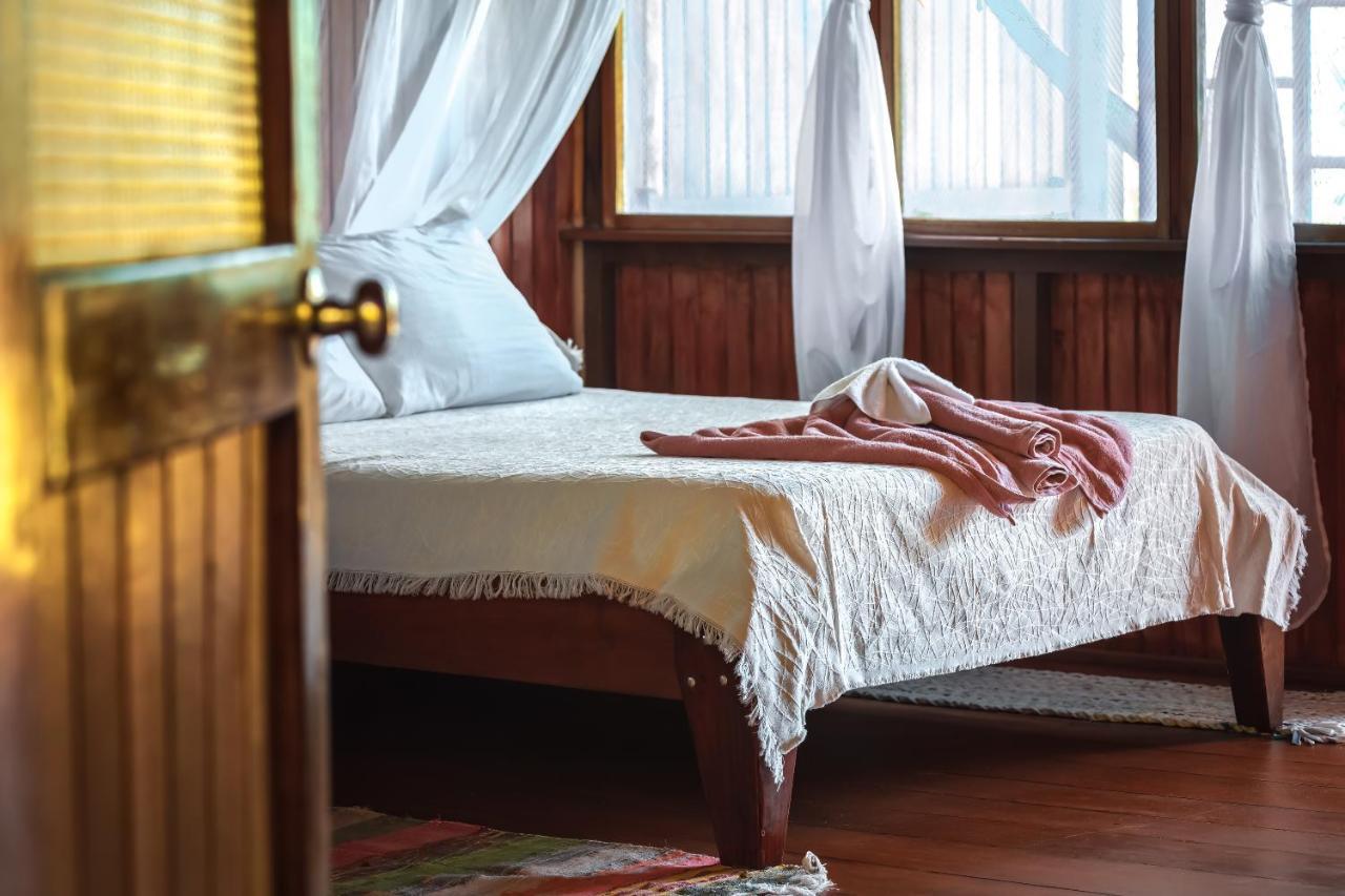 Ocean Forest Ecolodge San Pedrillo Εξωτερικό φωτογραφία