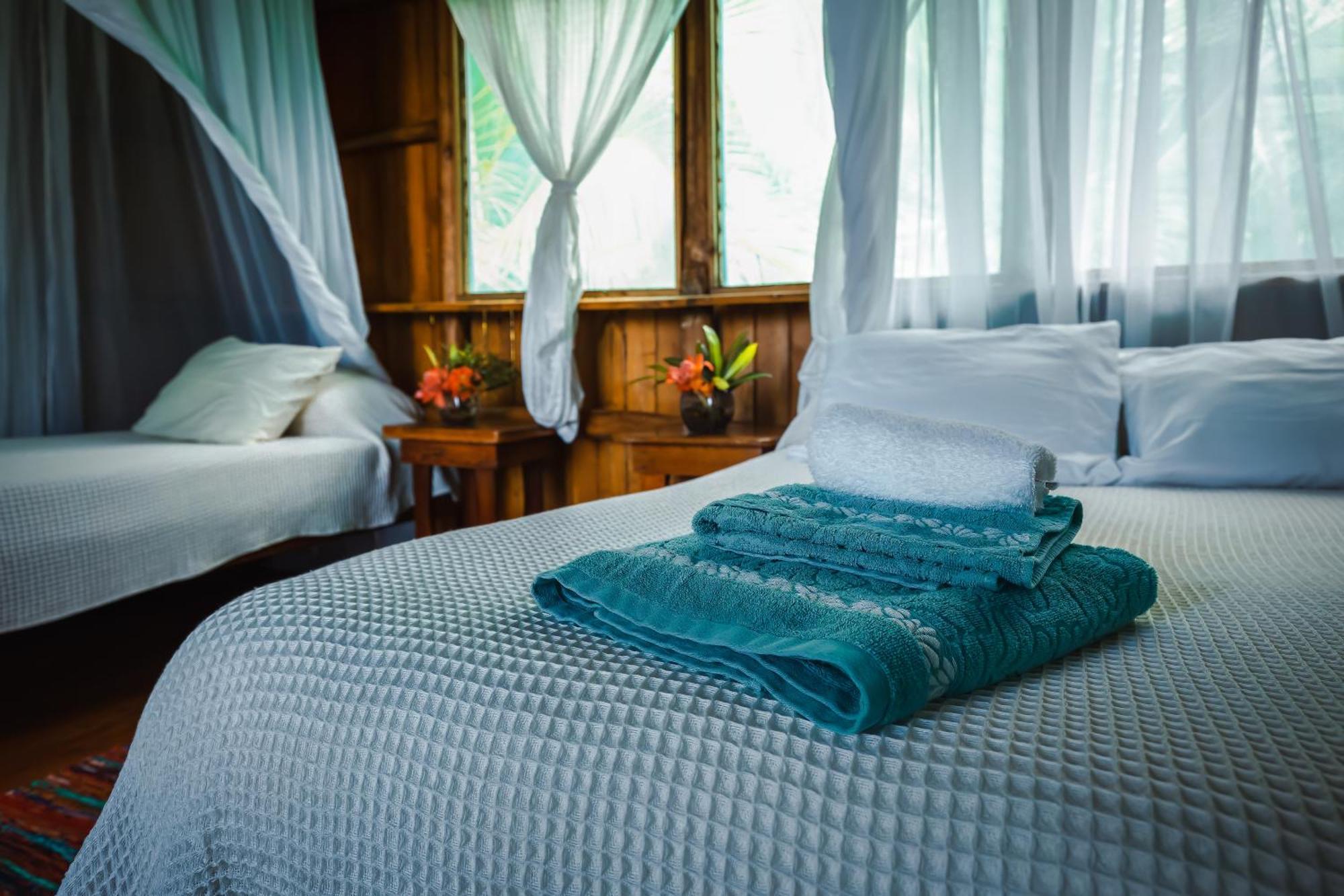Ocean Forest Ecolodge San Pedrillo Εξωτερικό φωτογραφία