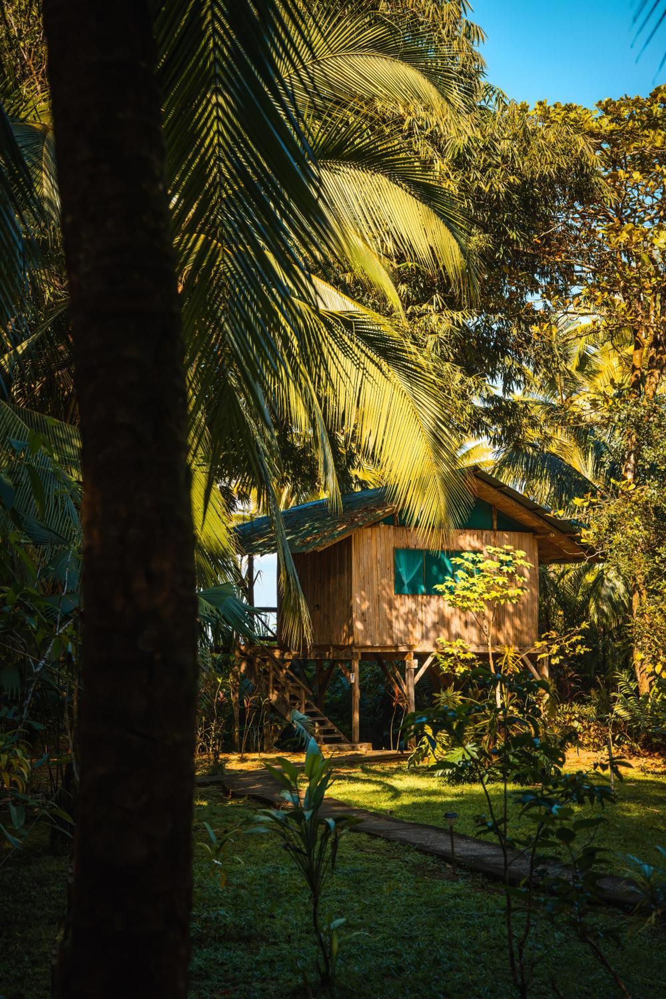 Ocean Forest Ecolodge San Pedrillo Εξωτερικό φωτογραφία