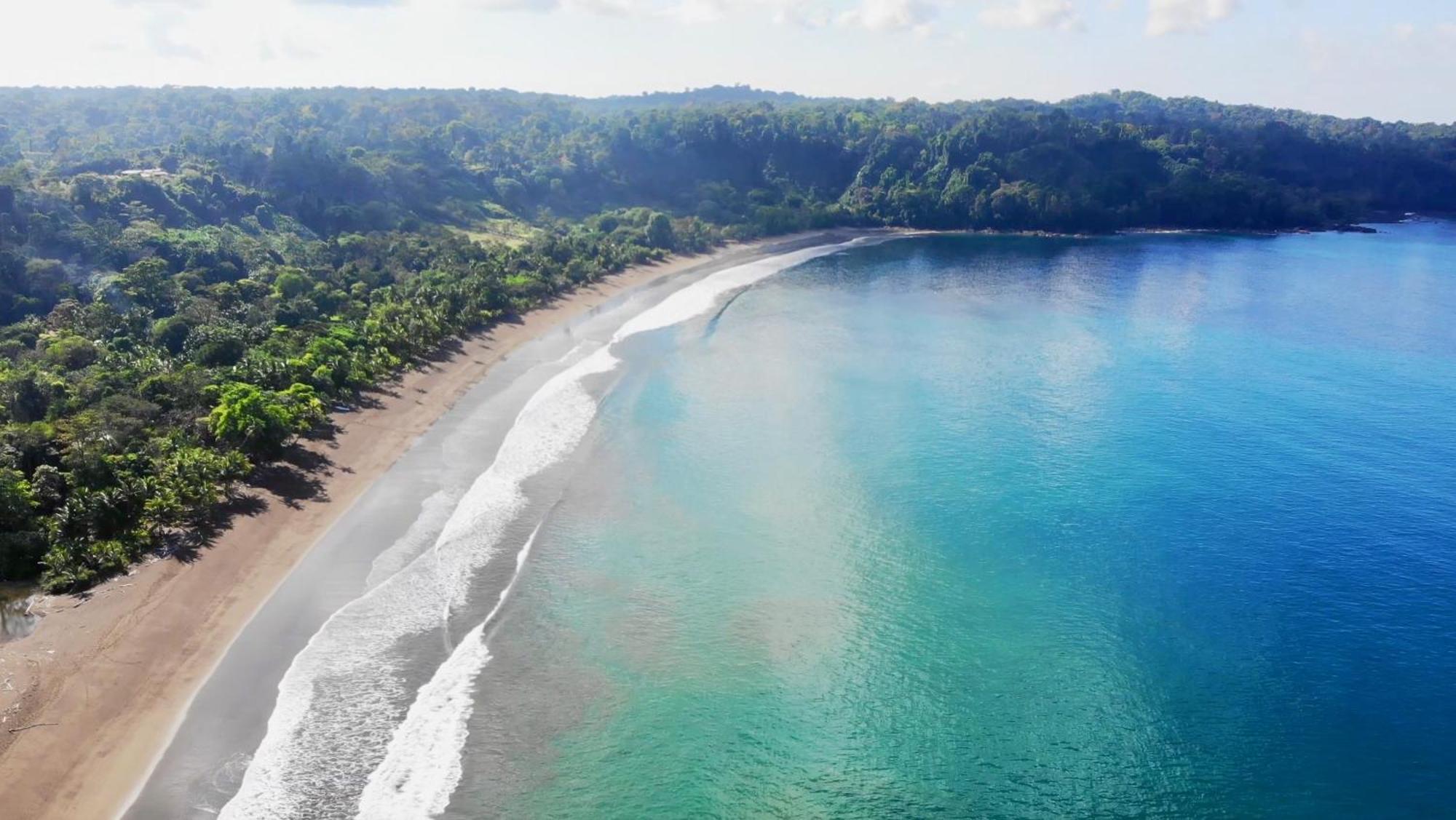 Ocean Forest Ecolodge San Pedrillo Εξωτερικό φωτογραφία