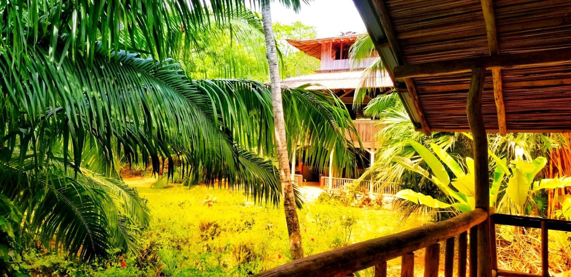 Ocean Forest Ecolodge San Pedrillo Εξωτερικό φωτογραφία