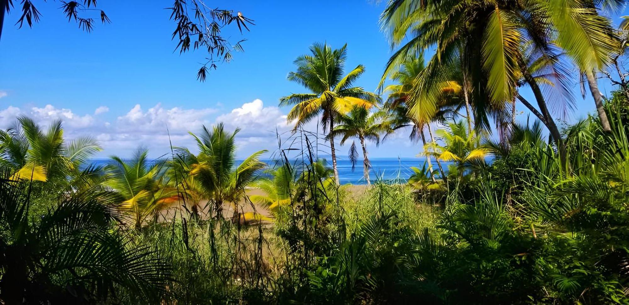Ocean Forest Ecolodge San Pedrillo Εξωτερικό φωτογραφία