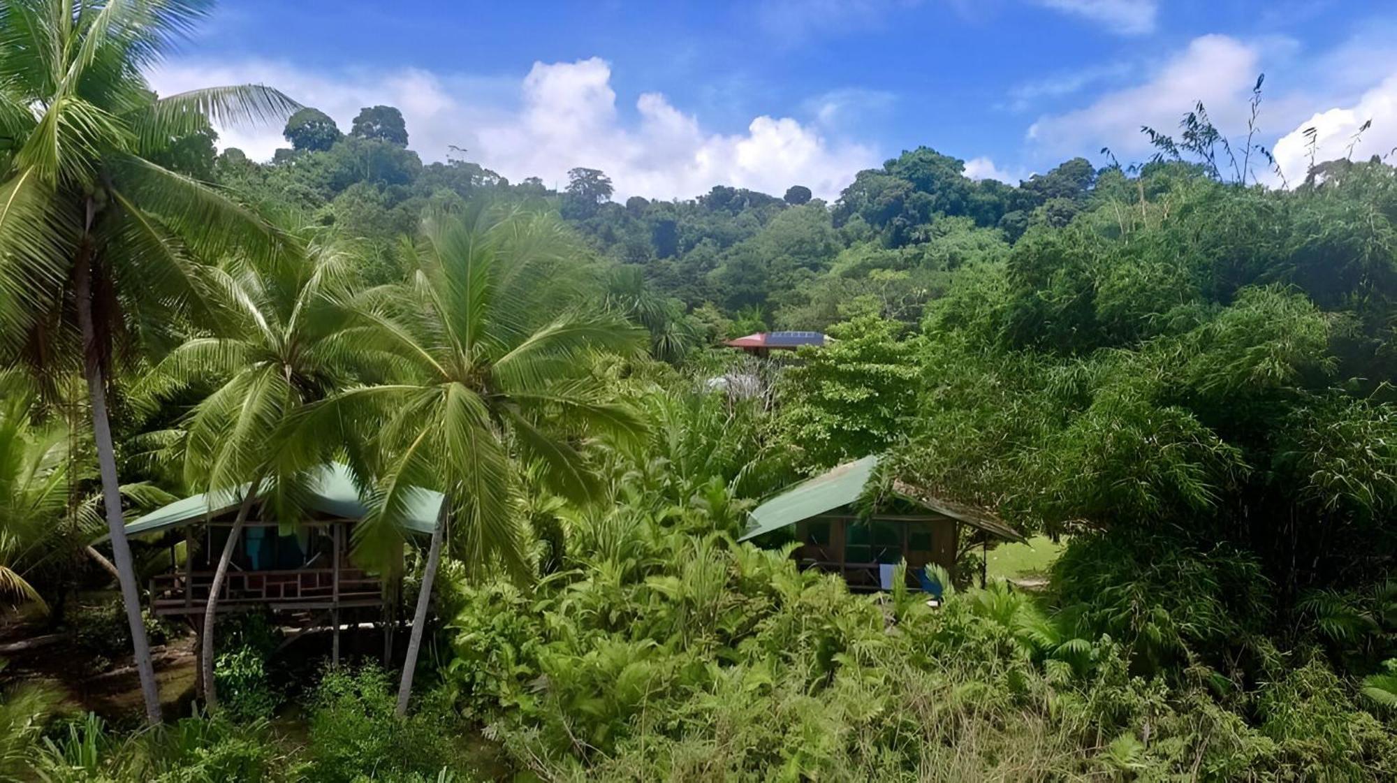 Ocean Forest Ecolodge San Pedrillo Εξωτερικό φωτογραφία