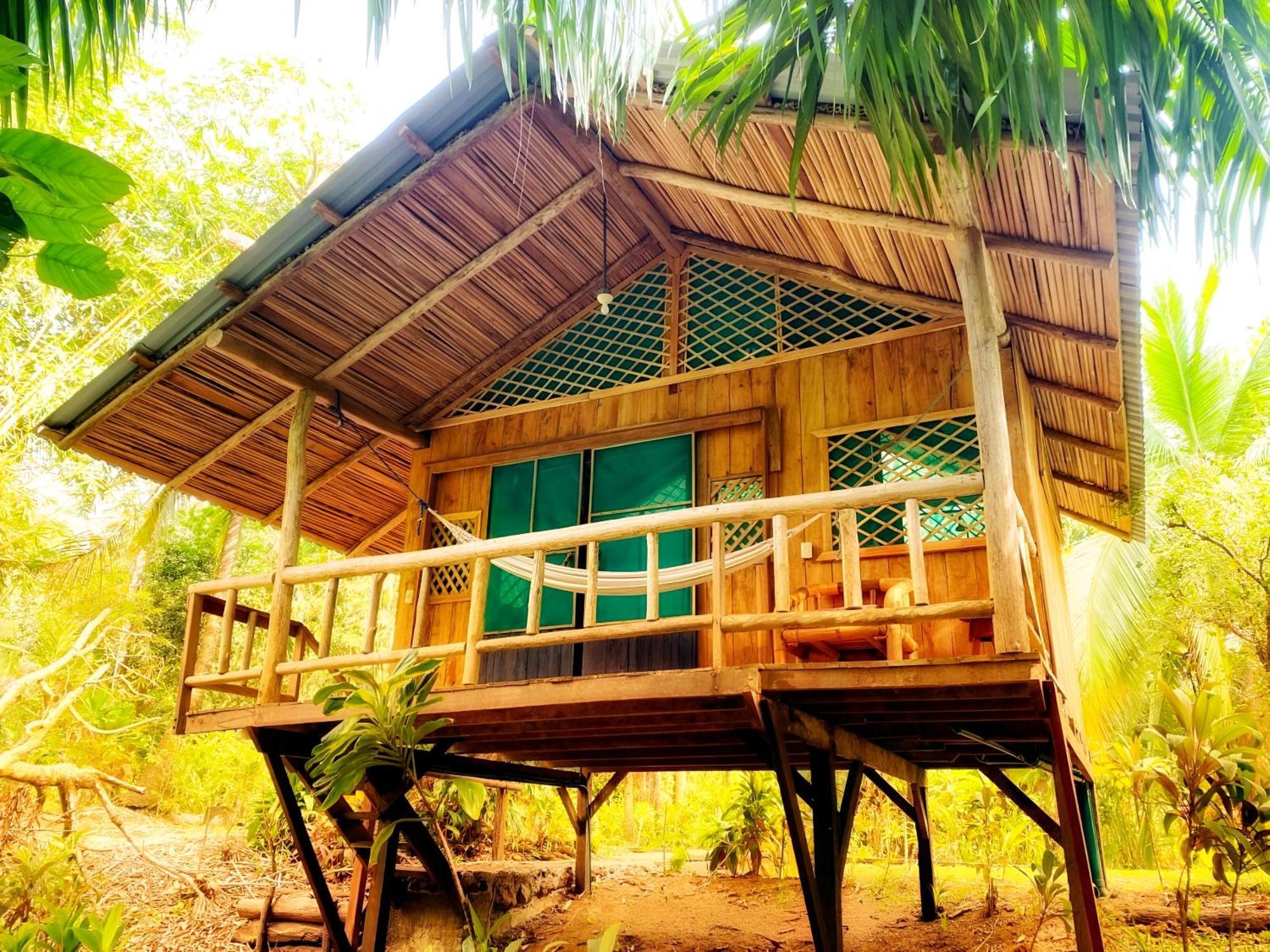 Ocean Forest Ecolodge San Pedrillo Εξωτερικό φωτογραφία