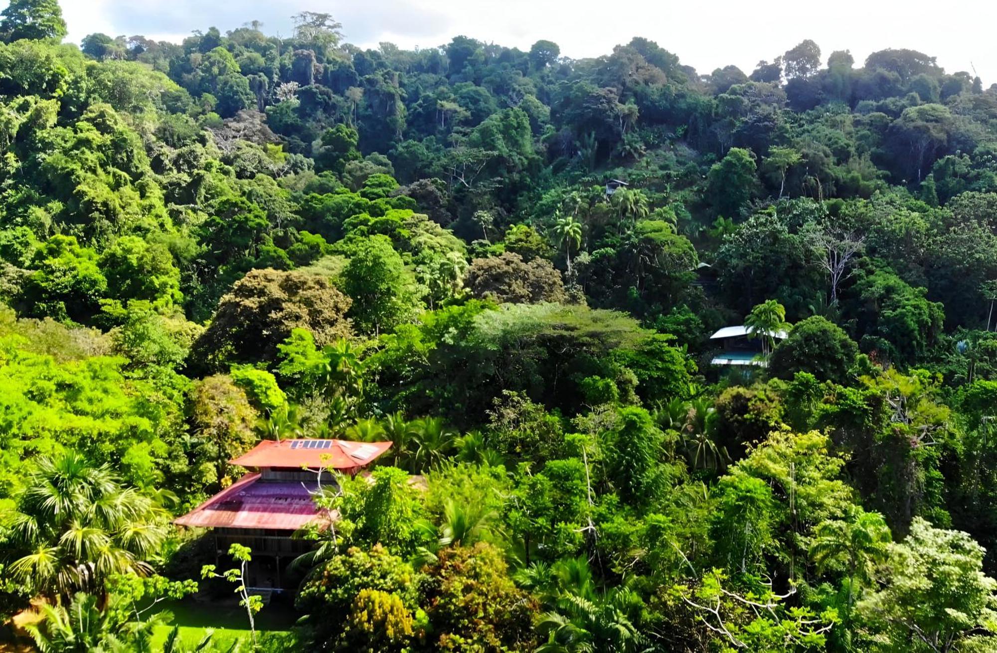 Ocean Forest Ecolodge San Pedrillo Εξωτερικό φωτογραφία